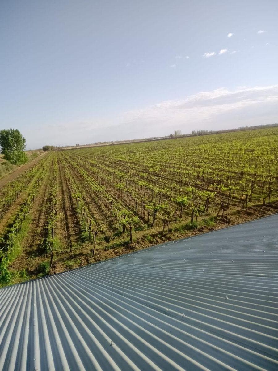EXCEPCIONAL FINCA PARA DESARROLLO INMOBILIARIO EN VILLA DE LAVALLE