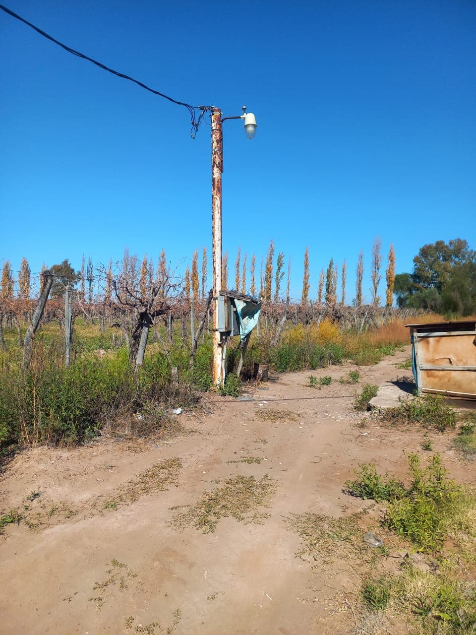 OPORTUNIDAD DE INVERSIÓN PRODUCTIVA EN MENDOZA